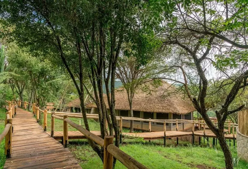 هتل Ngorongoro Forest Tented Lodge