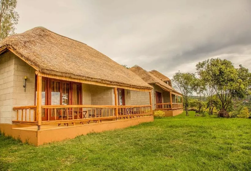 هتل Ngorongoro Forest Tented Lodge