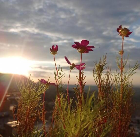 هتل Merdi̇n Bouti̇que