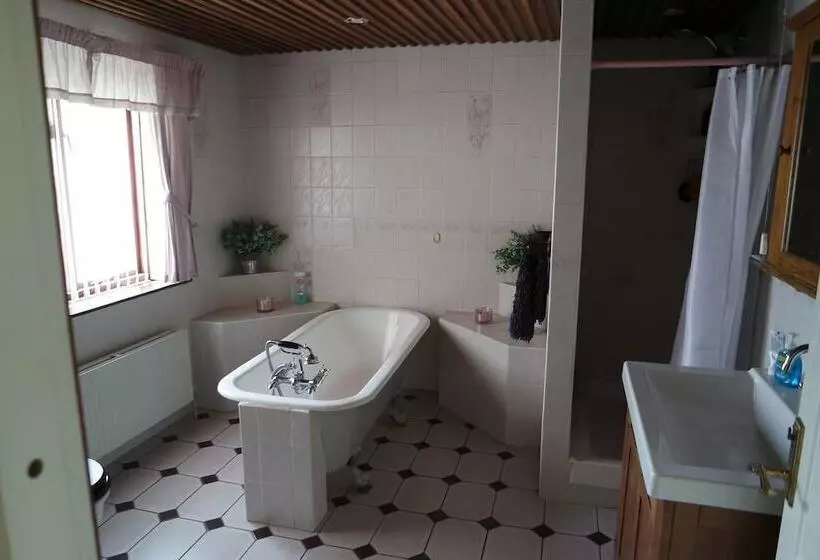 Jaylets Budget Leicester