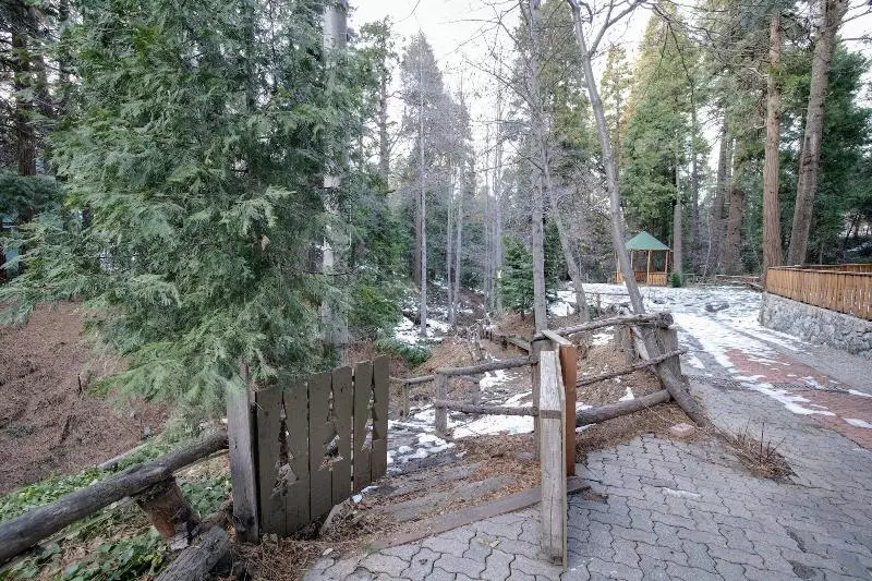 モーテル Arrowhead Tree Top Lodge