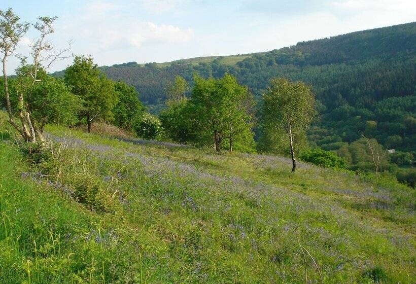 פנסיון Wildwinds