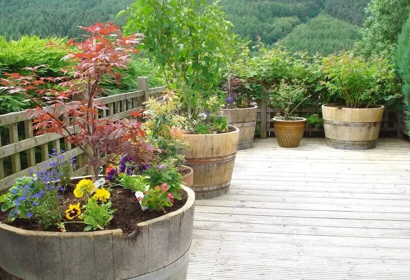 پانسیون Wildwinds