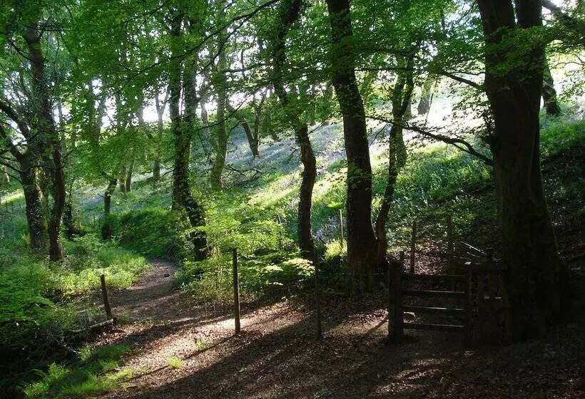 پانسیون Wildwinds