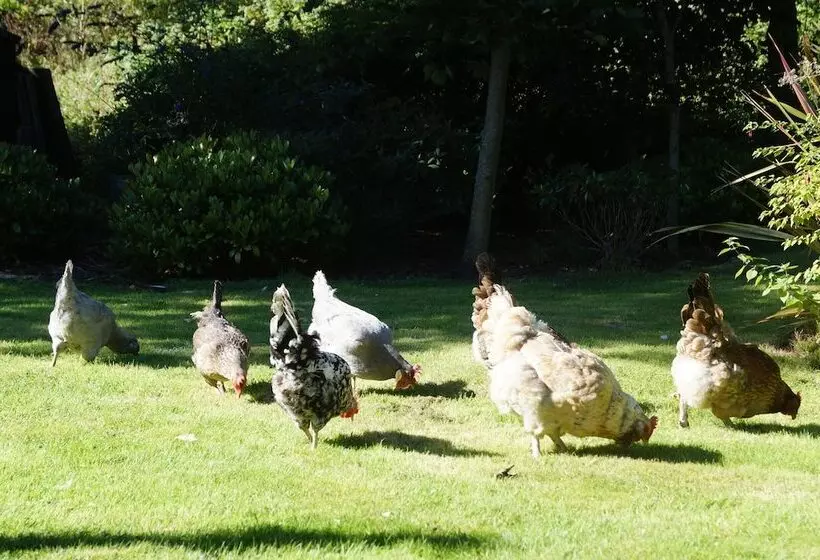 Aamiaismajoitus (B&B) Toadhall Rooms