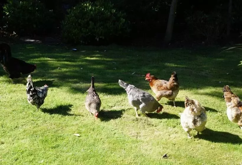 Aamiaismajoitus (B&B) Toadhall Rooms