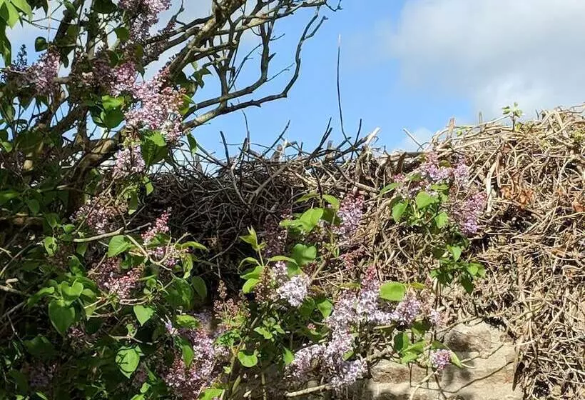 Pensió Weirholme Annex