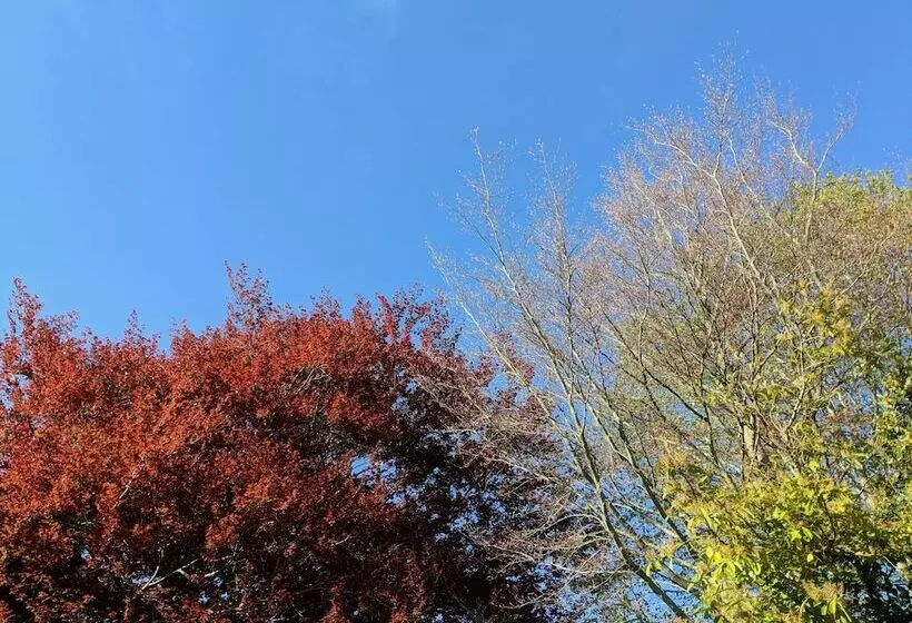 Pensió Weirholme Annex