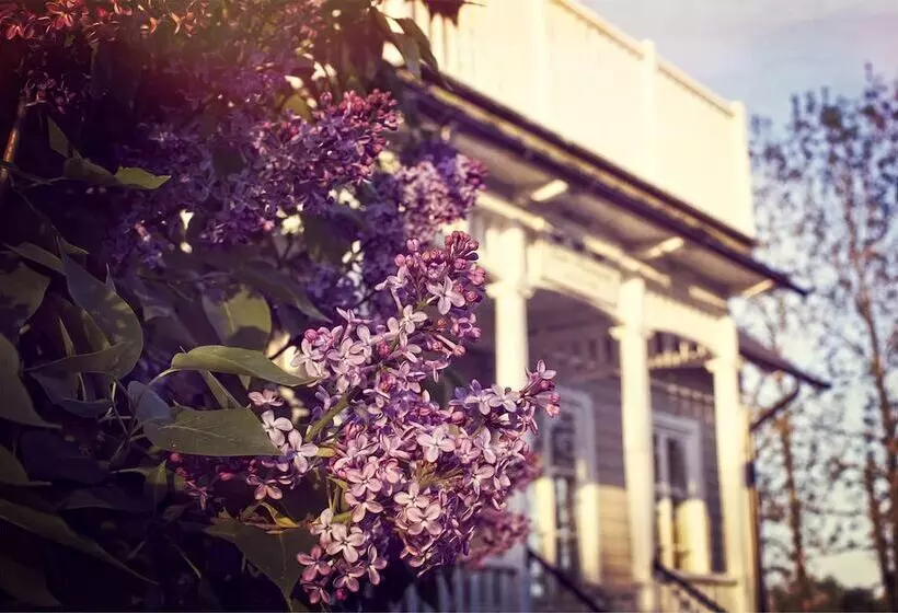 Three Pheasants Boutique B&b