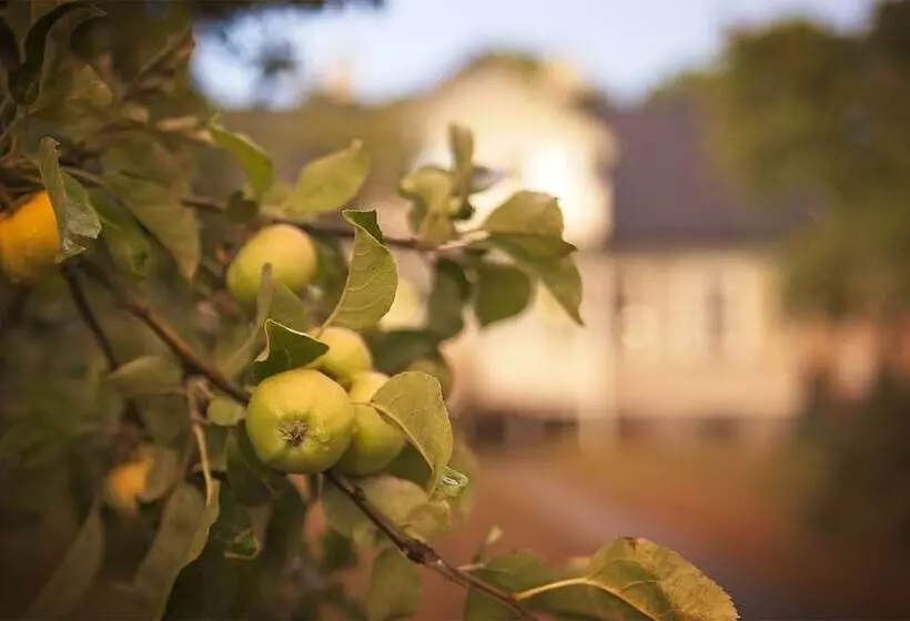 Three Pheasants Boutique B&b