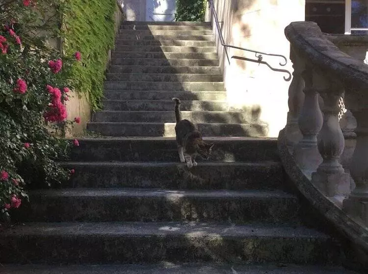 ベッドアンドブレックファースト Le Manoir