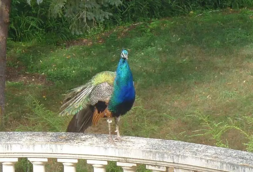 ベッドアンドブレックファースト Le Manoir