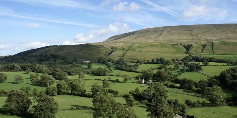 簡易ホテル Calf S Head