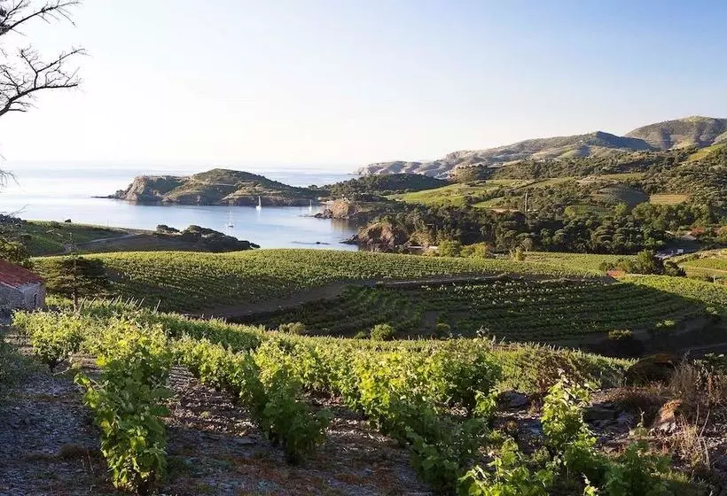 Les Clos De Paulilles