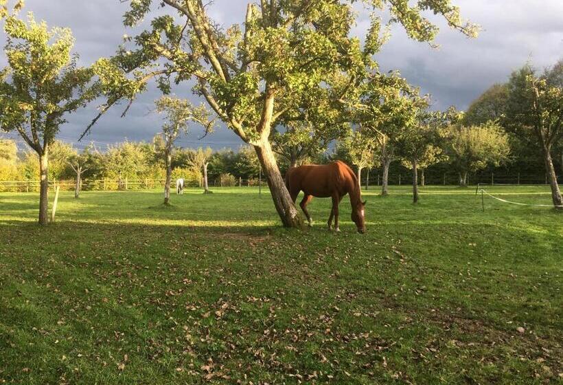 פנסיון L'auberge Du Mont