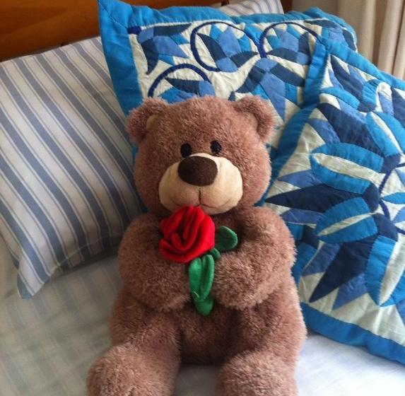 פנסיון Trelawney Guest House Room Only