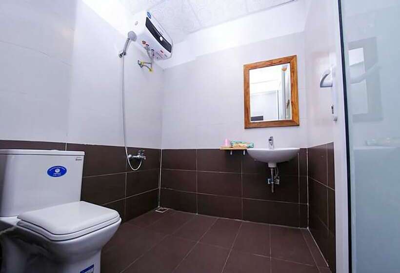 Shark Hotel   Hostel