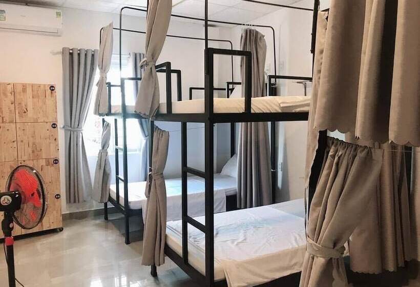 Shark Hotel   Hostel