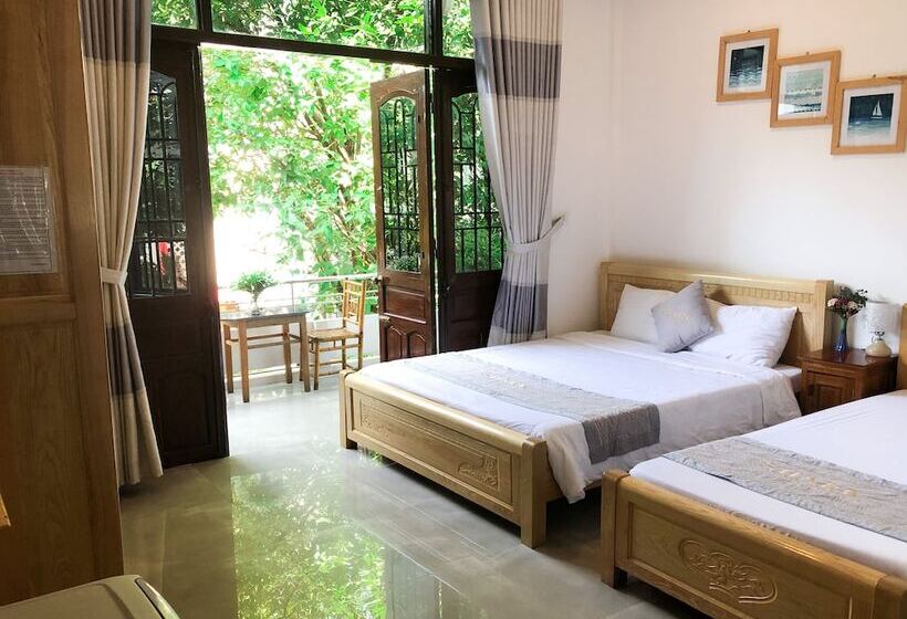 Shark Hotel   Hostel