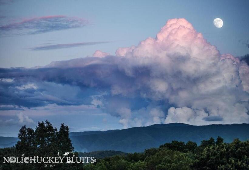 Nolichuckey Bluffs Bed & Breakfast Cabins