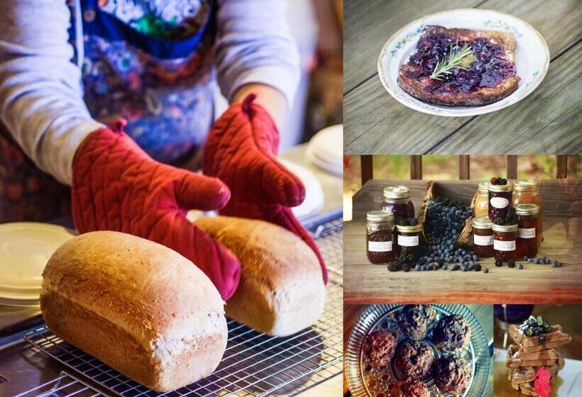 Nolichuckey Bluffs Bed & Breakfast Cabins