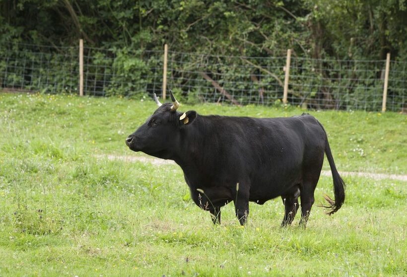 پانسیون Iffin Farmhouse