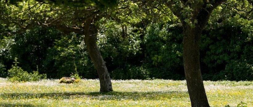 پانسیون Iffin Farmhouse