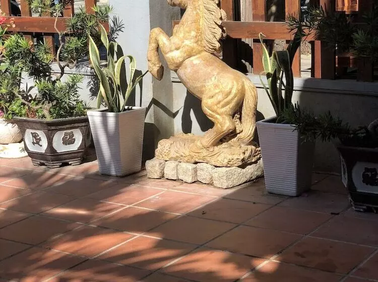 پانسیون Three Palms Homestay