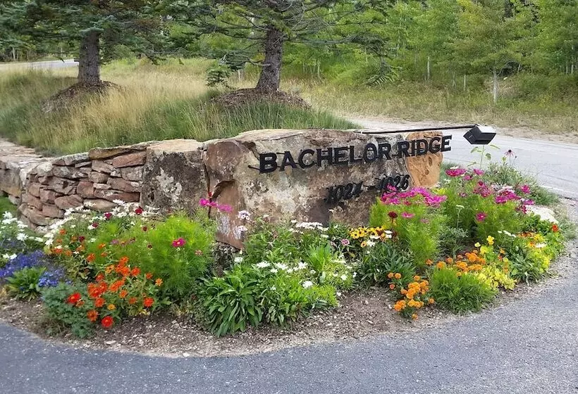 Snowberry By Elevation Accommodations