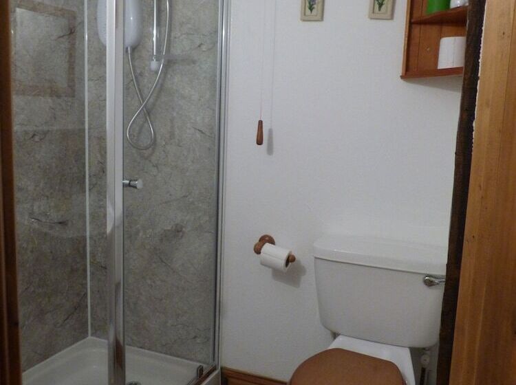 Bed and Breakfast Fedw Farm