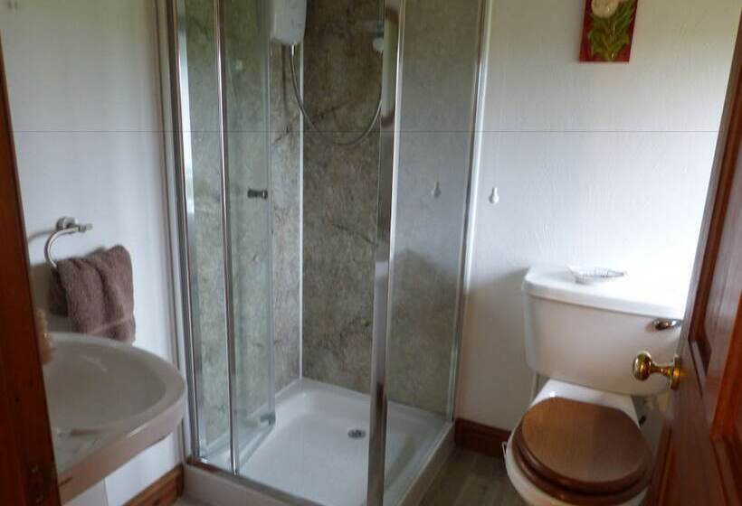 Bed and Breakfast Fedw Farm