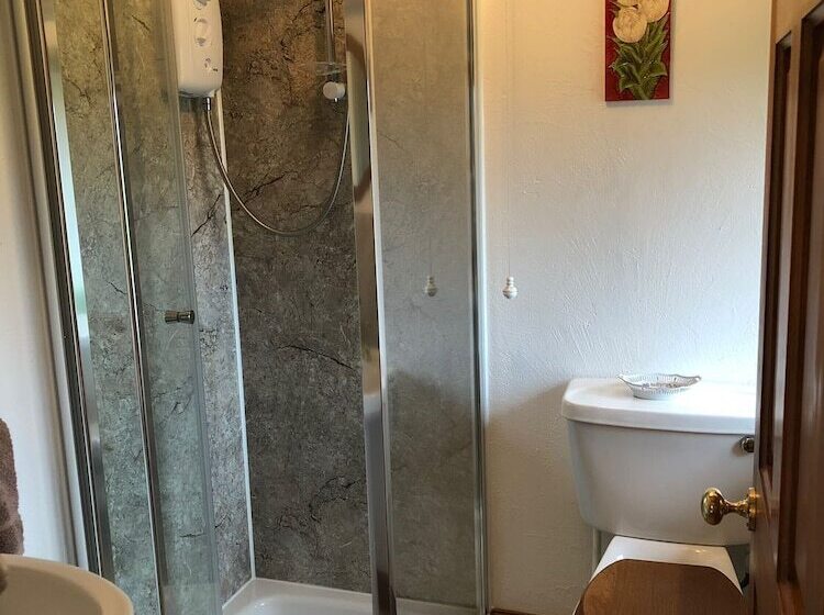 Bed and Breakfast Fedw Farm