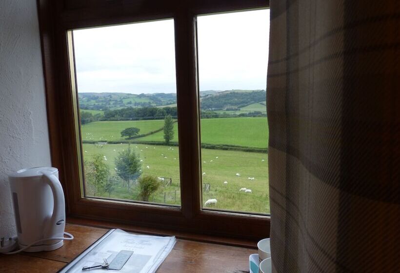 Bed and Breakfast Fedw Farm