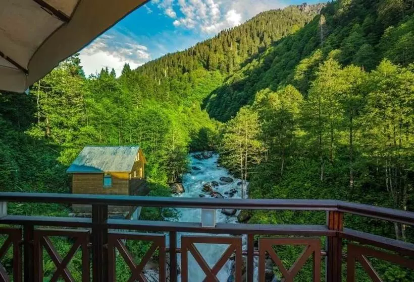 ホテル Ayder Hasimoglu
