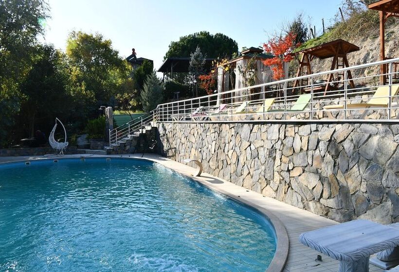 Отель Castle Nolana