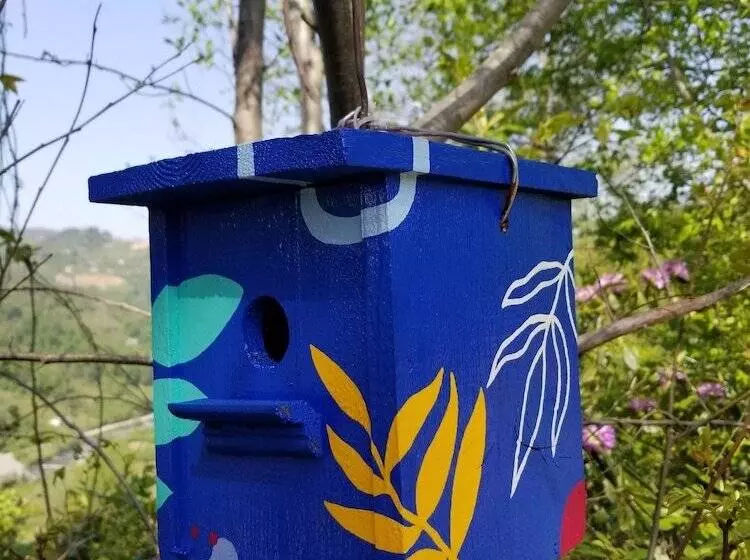 Hotelli Olimbera Köy Evi