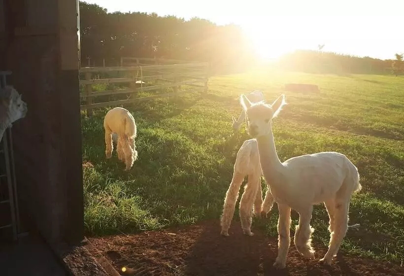 Majatalo Highfield Farm