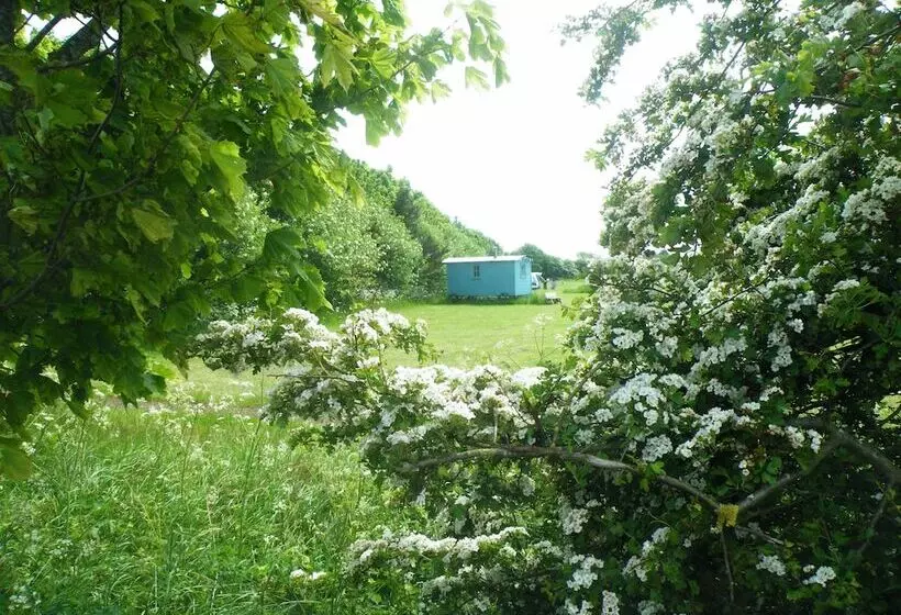 Majatalo Highfield Farm