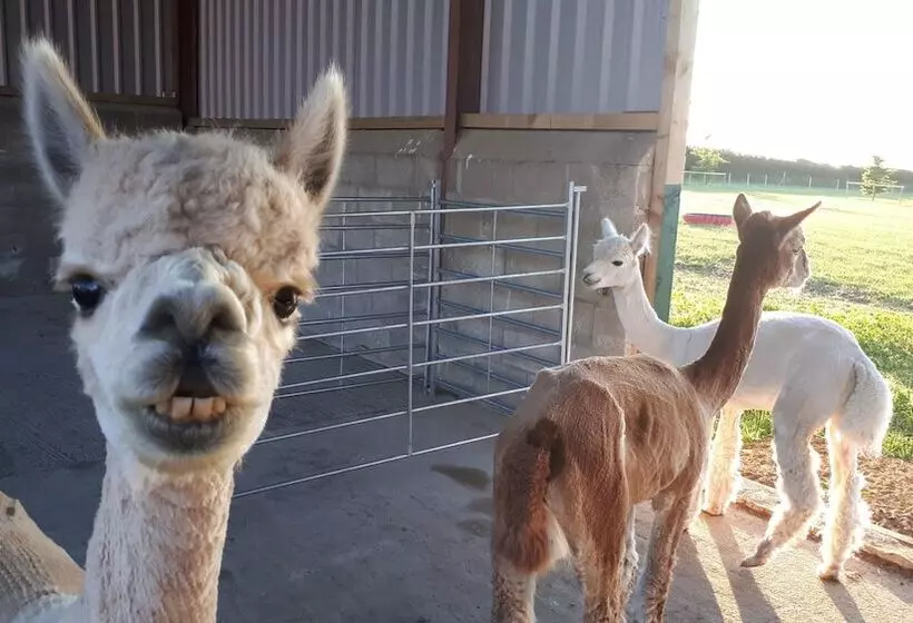 Majatalo Highfield Farm