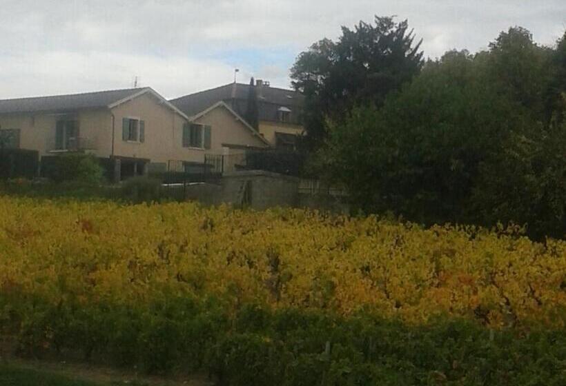 펜션 La Maison Des Vignes