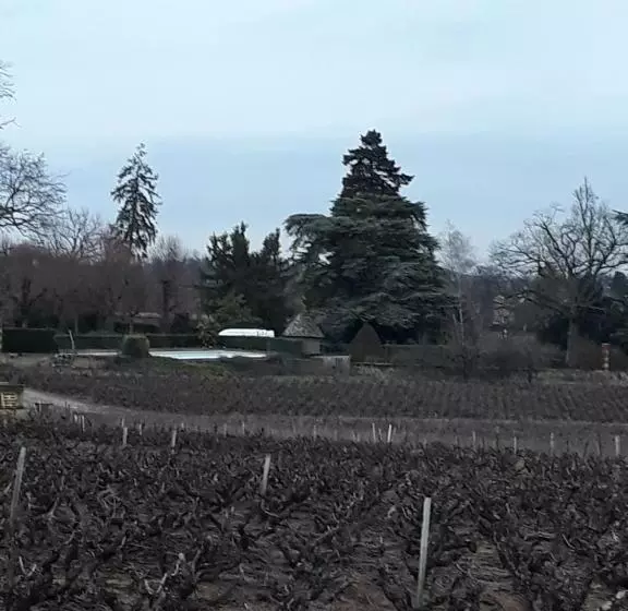 ペンション La Maison Des Vignes