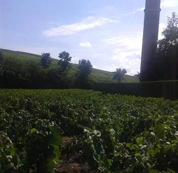 ペンション La Maison Des Vignes