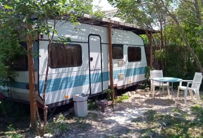 Aamiaismajoitus (B&B) Au Brabo