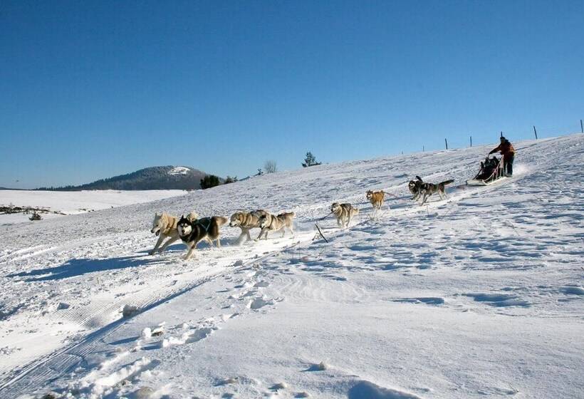 호텔 Azureva Murol