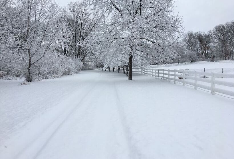 The Speckled Hen Inn B&b