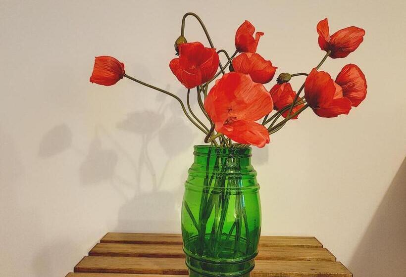 住宿加早餐  Le Grand Bassin