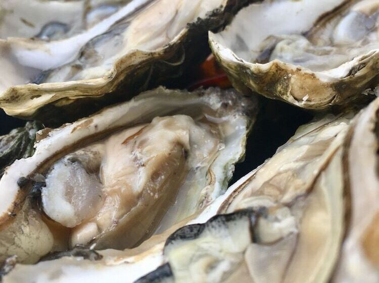 تختخواب و صبحانه Maison Raphaël Kafka