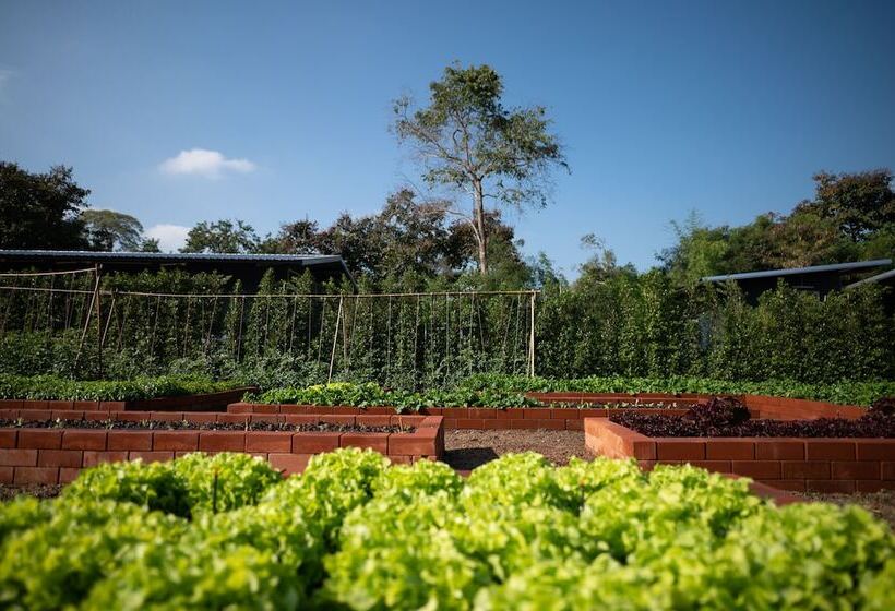 فندق Labaris Khao Yai