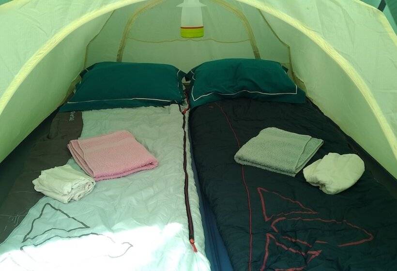 Bed and Breakfast Les Noisetiers