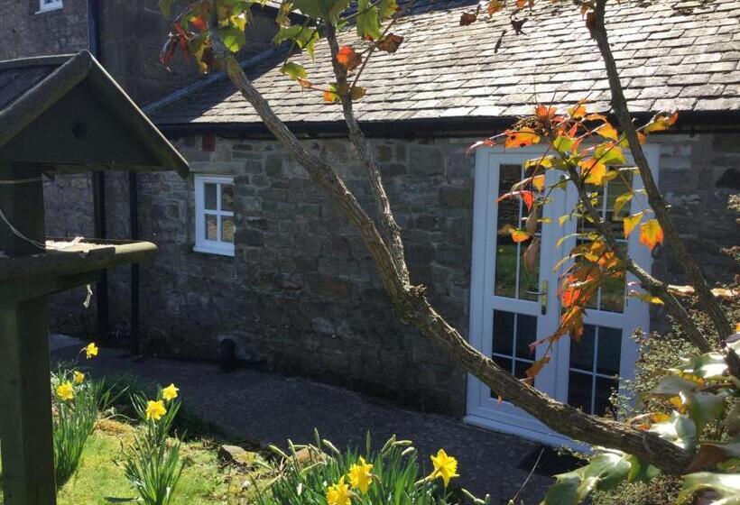 تختخواب و صبحانه The Snug @ Corry Cottage